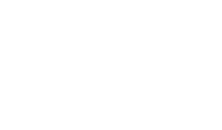POSINDO - ALWAYS AHEAD