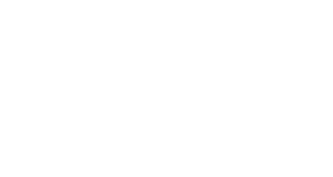 POSINDO
