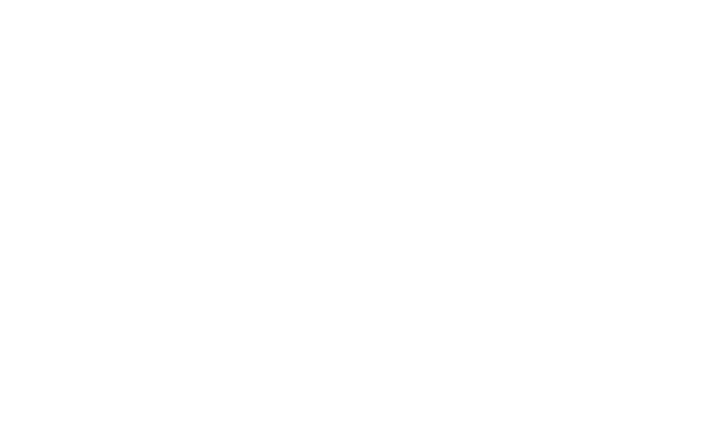UNILEVER - GLOBAL EXCELLENCE