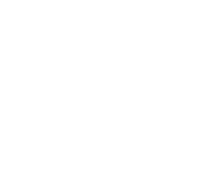 UNILEVER