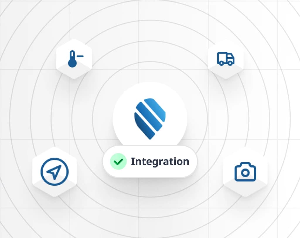 Ecosystem Integration Consulting