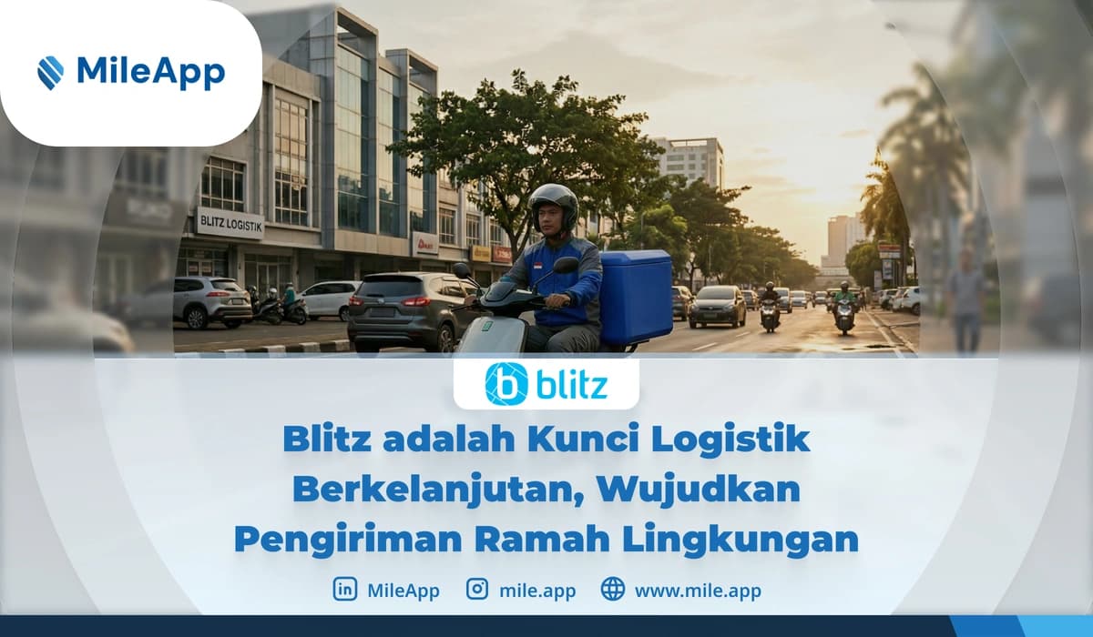 blitz electric